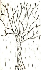 Strom v dešti