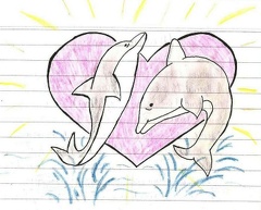 Slunce delfíní lásky