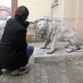 Lev v umění - kamenný lev v Chesteru