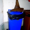 Mo(u)drá skříňka odpadů
