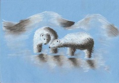 lední medvědi