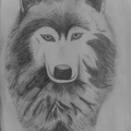 Sabríel Werewolfová