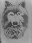 Sabríel Werewolfová