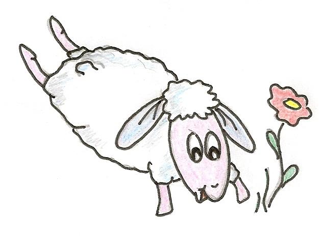 Skákající ovečka