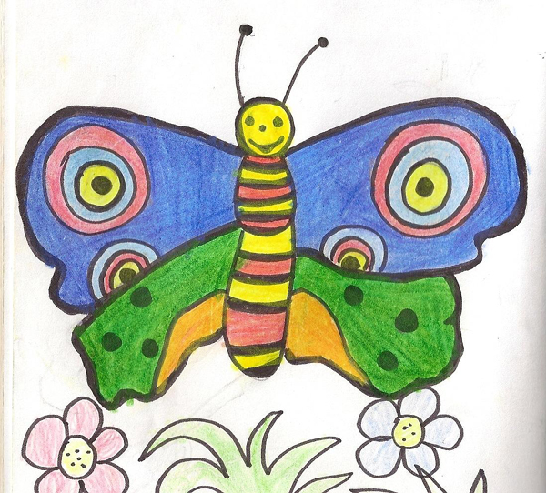 barevný motýlek