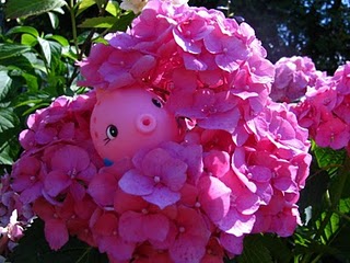 absurdny-ružovy-kvet_-_Lucy_K_.JPG
