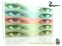 Amanda Lembrijová
