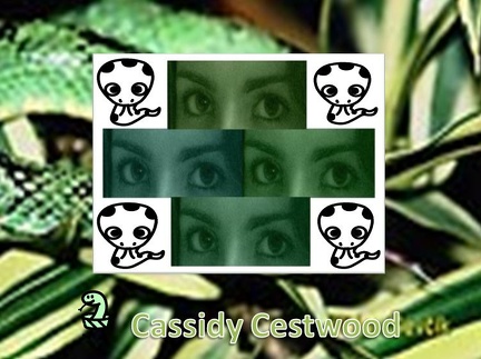 Cassidy Cestwood