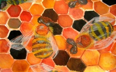 Včely