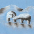 Lední medvídci