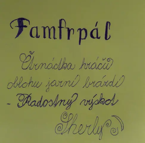 2.level Sherly