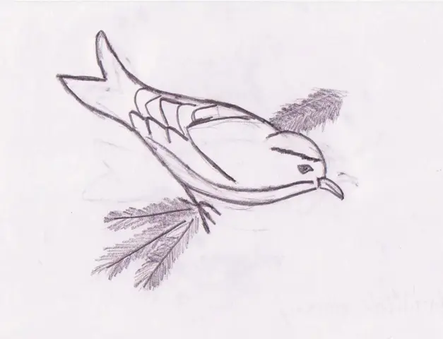 Ptáček