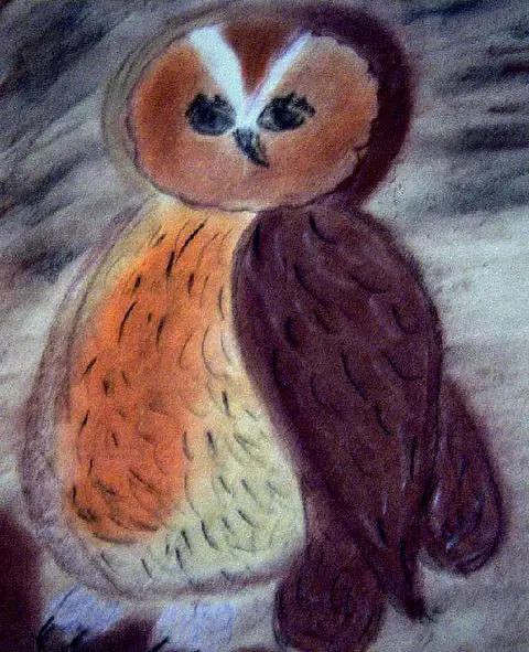 Sova