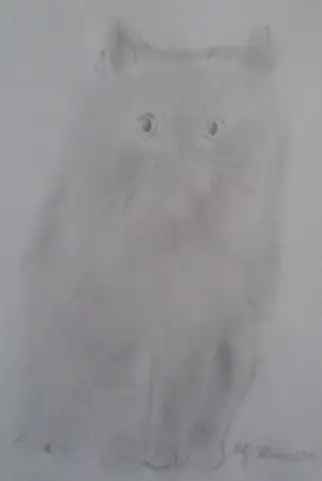 Kocour Křivonožka