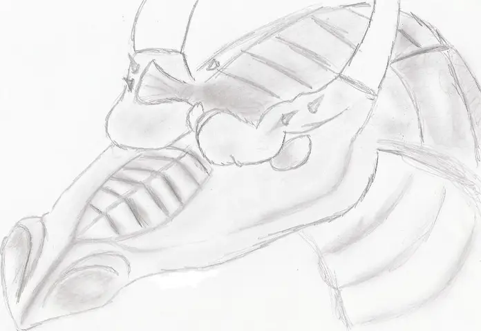 Drak