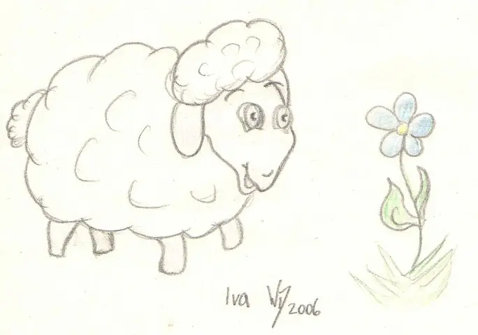 Ovečka