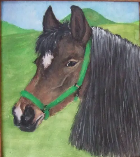 Horse