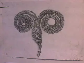 Paroží