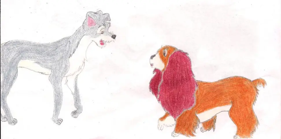 Lady a Tramp