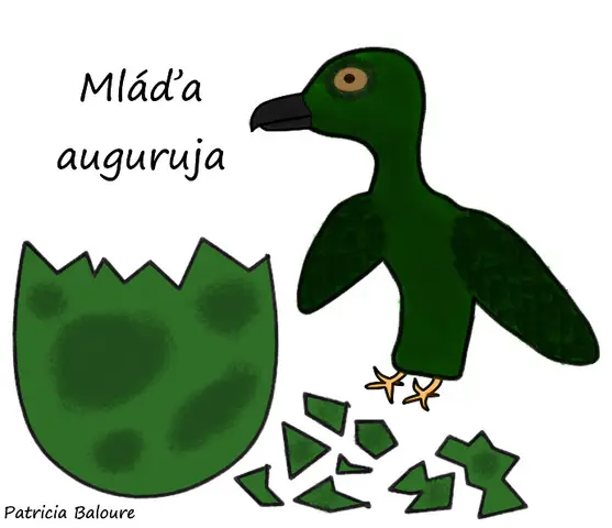 Auguruj