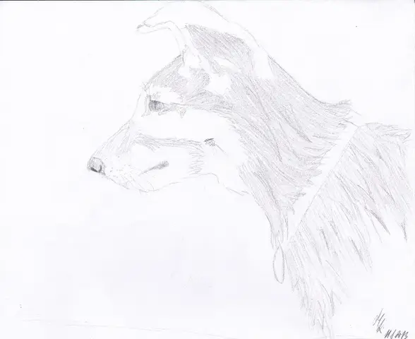 Německý ovčák