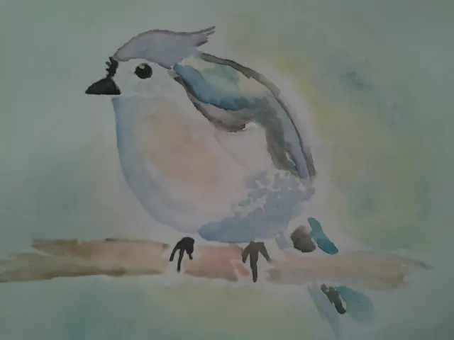 Bird