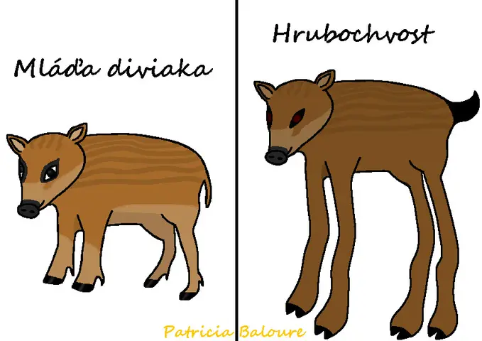 Rozdiel medzi diviakom a hrubochvostom