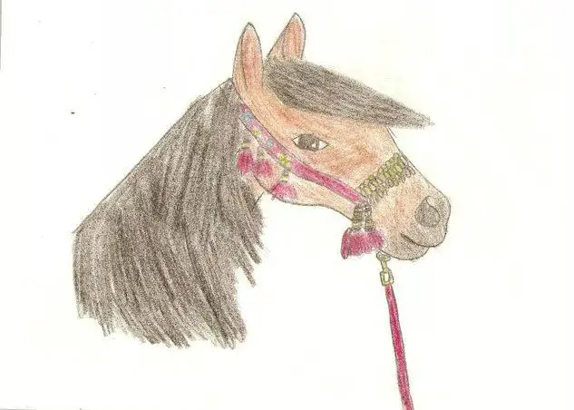 Kůň