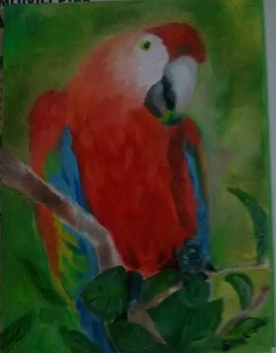 Papušek