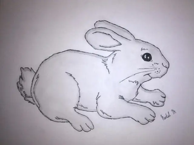 Králíček