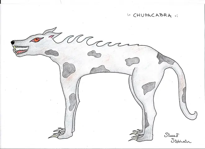 Chupacabra