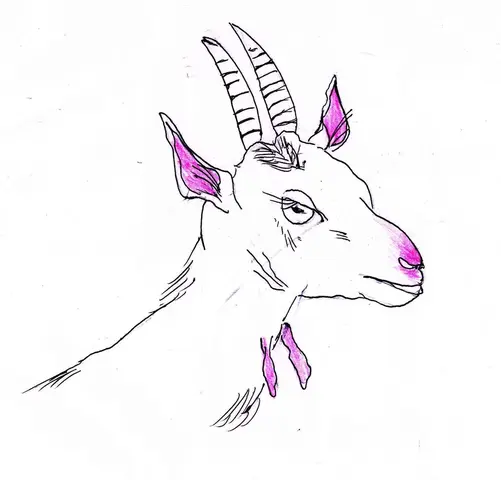 Ochechule II.
