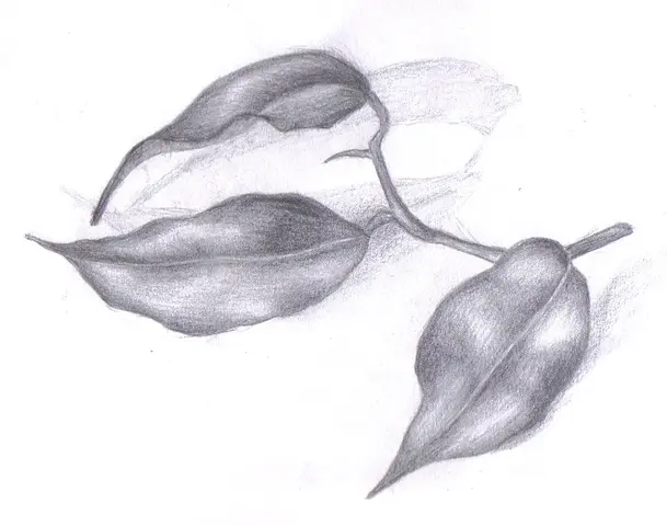 Michelle Asmin Gllasis
