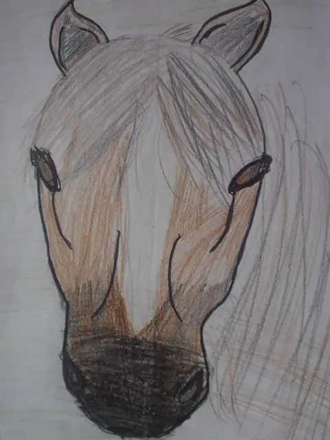 Kůň