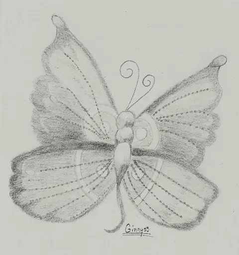 Motýl