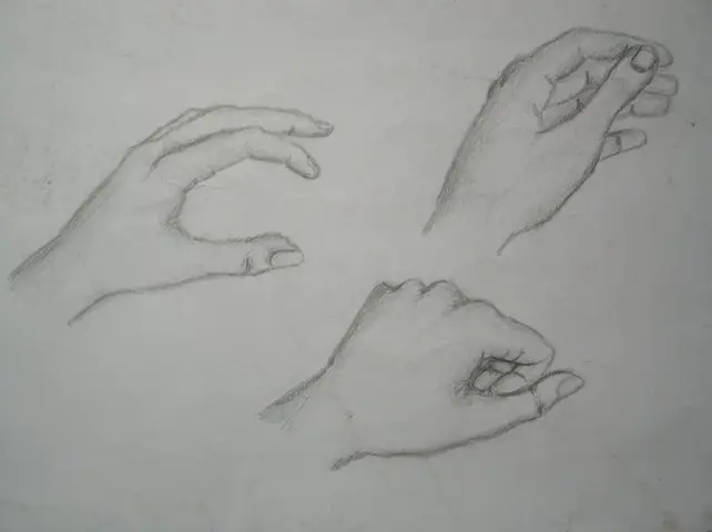Studie rukou