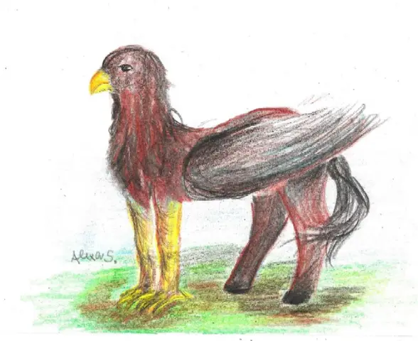 Hipogryf