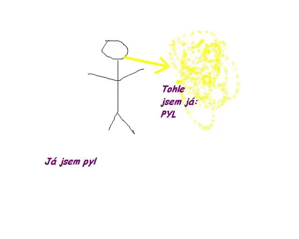 Skicujeme češtinu - pyl