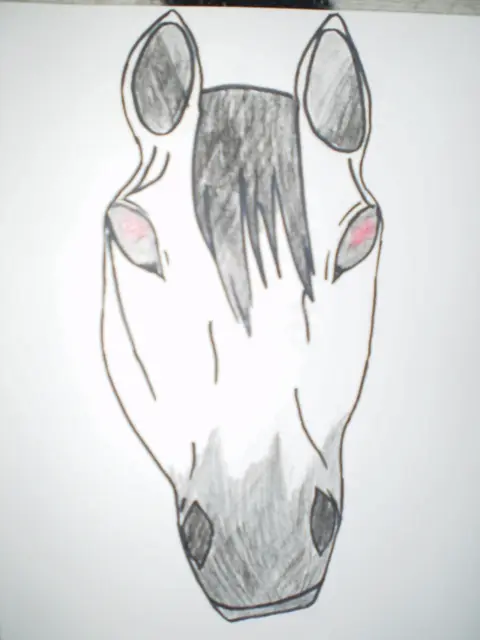 Kůň