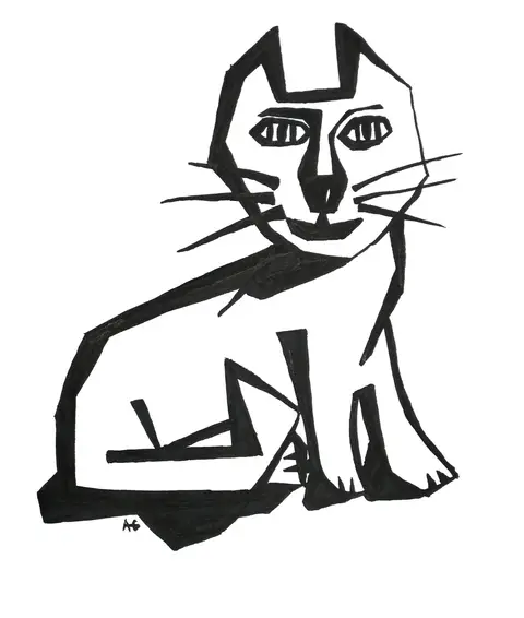 Kočka