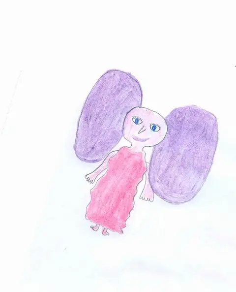 Domácí škůdci a tvorové z kouzelnického světa