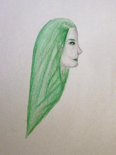 Slytherin had