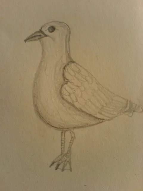 Racek