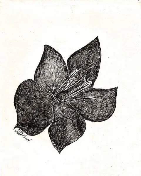 Květ