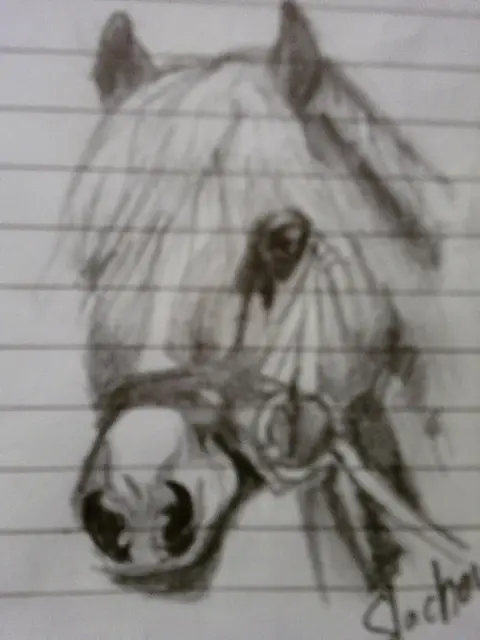 Hafling