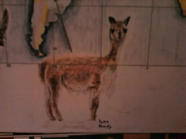 Lama