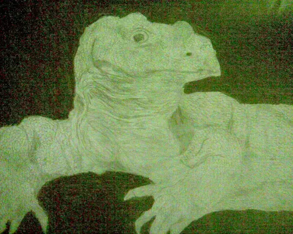 Varan komodský