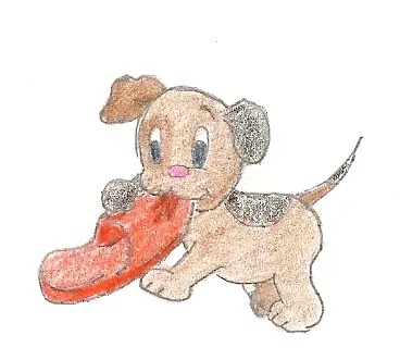Pejsek a pantofel