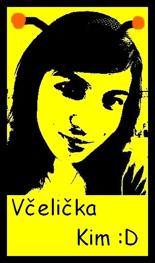 Pfoto V - včeličky