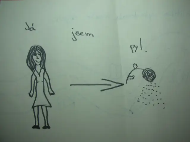 Skicujeme češtinu - pyl